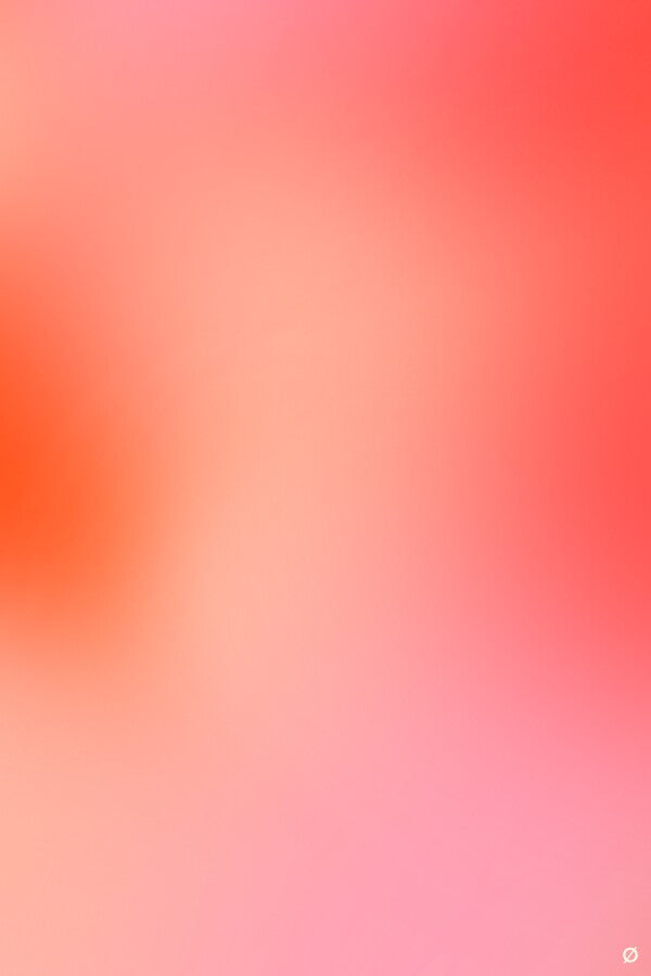 FIZZ part 2 - avec logo